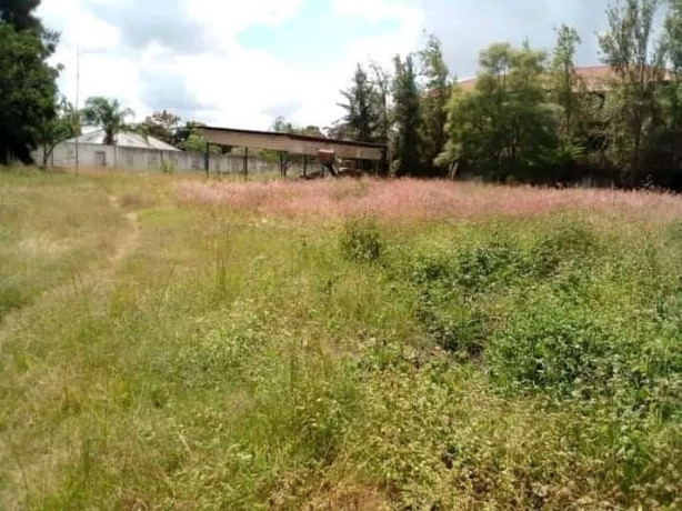 12-acre-plot-for-sale-in-makeni-big-2