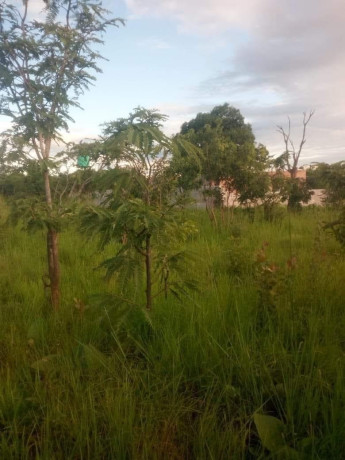 plots-for-sale-in-ibex-hill-big-0