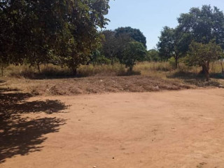 5-acres-land-for-sale-in-new-kasama