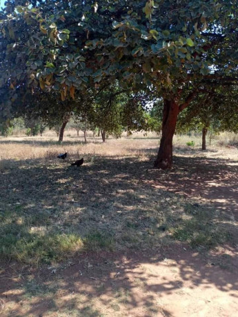 5-acres-land-for-sale-in-new-kasama-big-1