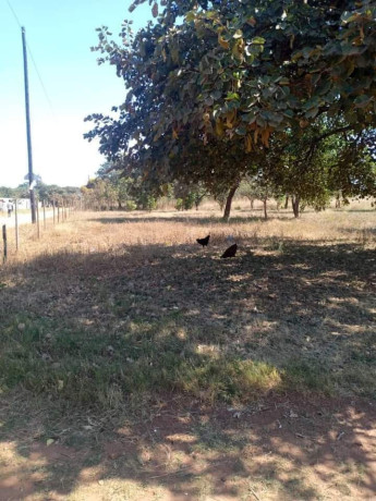 5-acres-land-for-sale-in-new-kasama-big-2