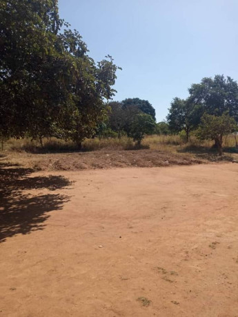 5-acres-land-for-sale-in-new-kasama-big-0