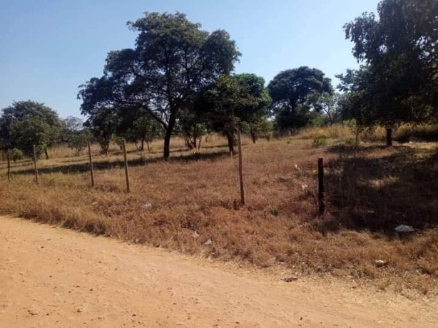 5-acres-land-for-sale-in-new-kasama-big-4