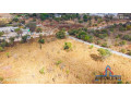 1-acre-plot-for-sale-in-new-kasama-small-3