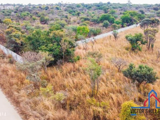1-acre-plot-for-sale-in-new-kasama