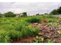 2-acre-plot-for-sale-in-new-kasama-small-0