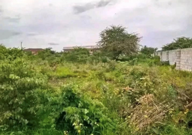 2-acre-plot-for-sale-in-new-kasama-big-1