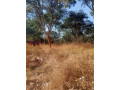 1-acre-land-for-sale-in-new-kasama-small-3