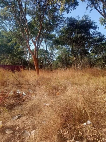 1-acre-land-for-sale-in-new-kasama-big-3