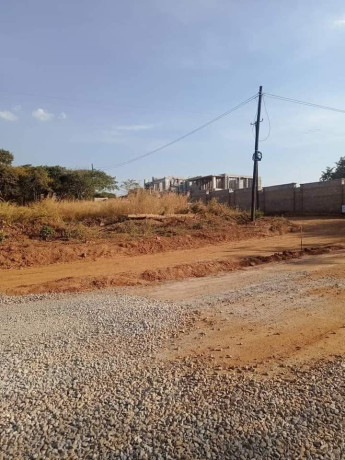 1-acre-land-for-sale-in-new-kasama-big-5