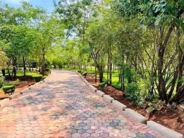 4-bedroom-house-for-sale-in-new-kasama-big-5