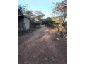 5-acres-farm-for-sale-in-palabana-small-4