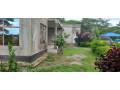 5-acres-farm-for-sale-in-palabana-small-2
