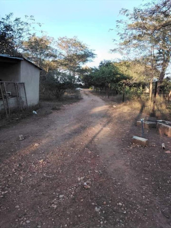 5-acres-farm-for-sale-in-palabana-big-4