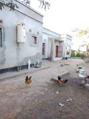 5-acres-farm-for-sale-in-palabana-big-1