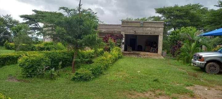 5-acres-farm-for-sale-in-palabana-big-6