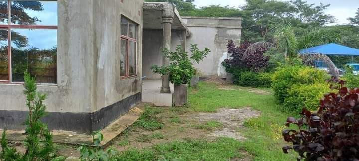 5-acres-farm-for-sale-in-palabana-big-3