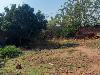 28m-by-28m-plot-for-sale-in-foxdale