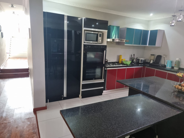 5-bedroom-stand-alone-house-for-rent-in-roma-park-big-8