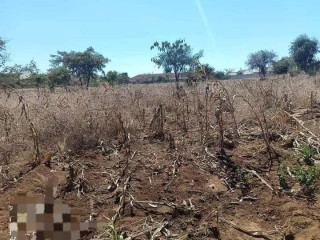 40-by-30-plots-for-sale-in-chalala