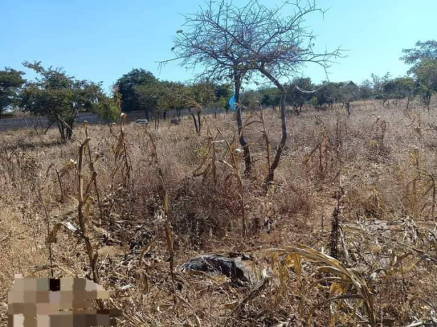 40-by-30-plots-for-sale-in-chalala-big-1