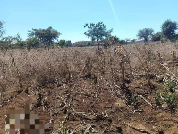 40-by-30-plots-for-sale-in-chalala-big-0