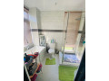 3-bedroom-flat-for-rent-in-ibex-kingsland-small-9