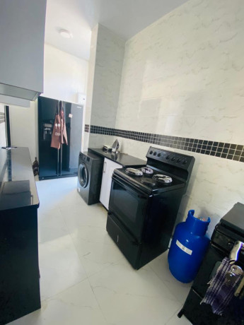 3-bedroom-flat-for-rent-in-ibex-kingsland-big-5