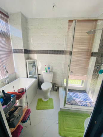 3-bedroom-flat-for-rent-in-ibex-kingsland-big-9