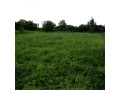 2-hectares-land-for-sale-in-kasisi-small-0