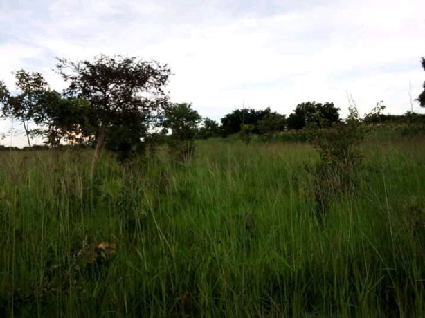 2-hectares-land-for-sale-in-kasisi-big-2