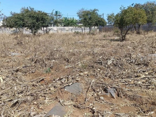 residential-plots-for-sale-in-chalala