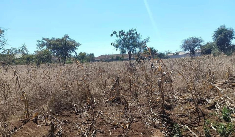 residential-plots-for-sale-in-chalala-big-1