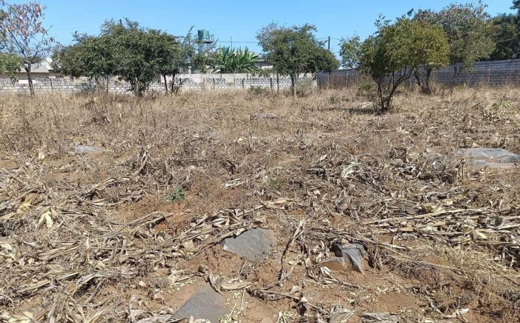 residential-plots-for-sale-in-chalala-big-0