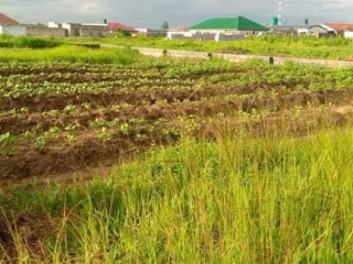 residential-piece-of-land-for-sale-off-great-north-road