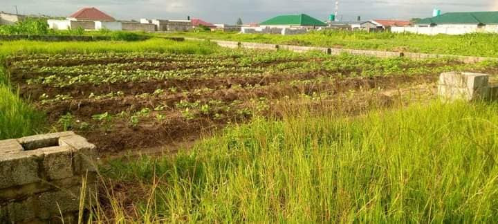 residential-piece-of-land-for-sale-off-great-north-road-big-0