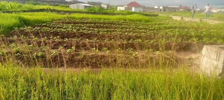 residential-piece-of-land-for-sale-off-great-north-road-big-4