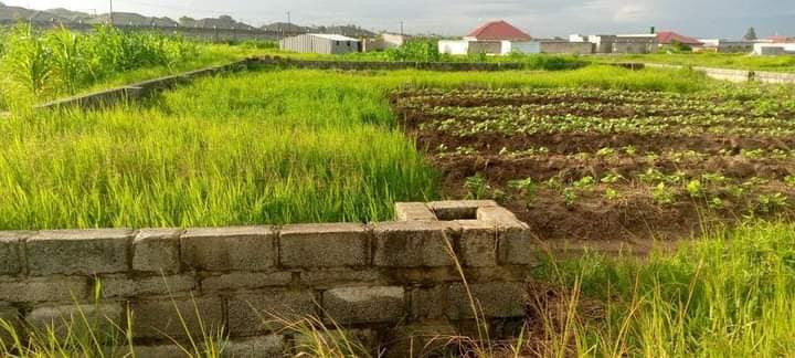 residential-piece-of-land-for-sale-off-great-north-road-big-5