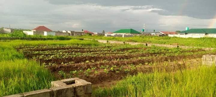 residential-piece-of-land-for-sale-off-great-north-road-big-2