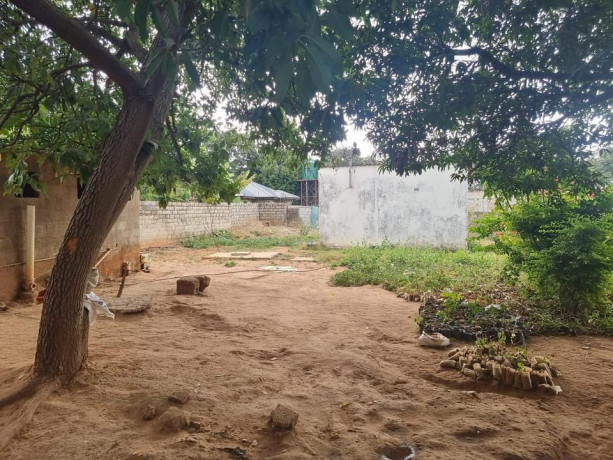 1-acre-plot-for-sale-in-woodlands-main-big-5