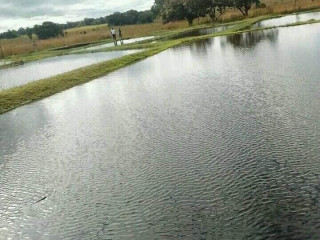 90-hectares-of-farmland-for-sale-in-mkushi