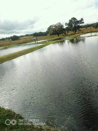 90-hectares-of-farmland-for-sale-in-mkushi-big-0