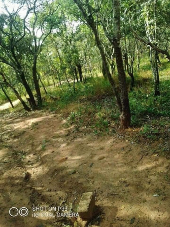 90-hectares-of-farmland-for-sale-in-mkushi-big-2