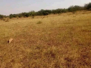 4040-plot-for-sale-in-shantumbu