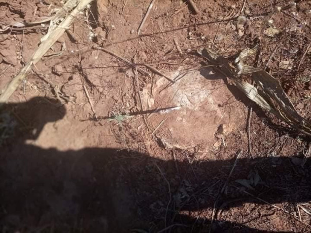 plots-for-sale-in-chalala-big-1