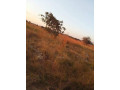 23x37-plot-for-sale-in-shantumbu-small-5