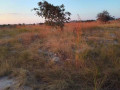23x37-plot-for-sale-in-shantumbu-small-3
