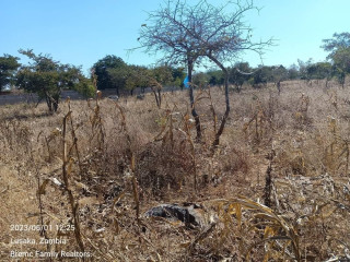 40m-by-30m-plots-for-sale-in-chalala
