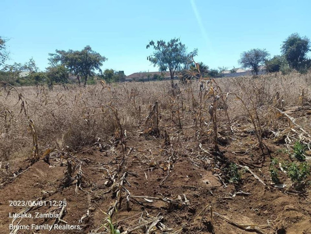 40m-by-30m-plots-for-sale-in-chalala-big-2