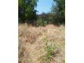 1-acre-plot-for-sale-in-ibex-hill-small-6